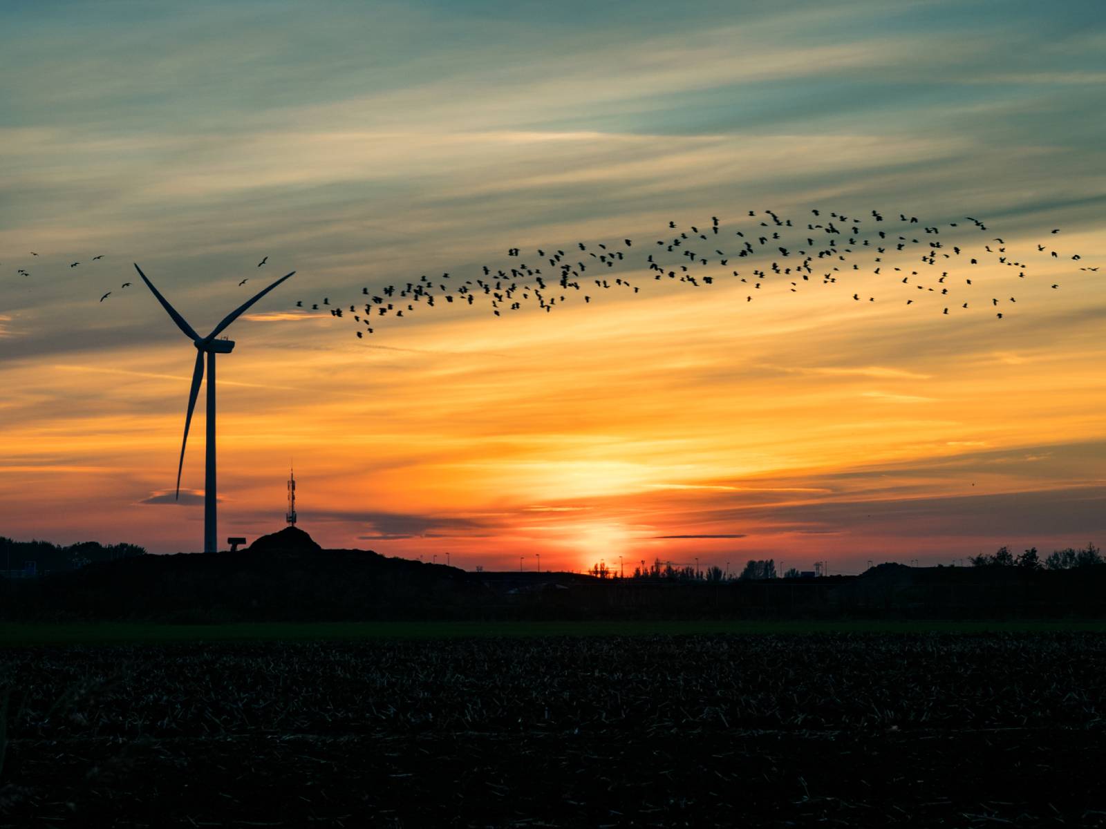 Foto: iStock. 