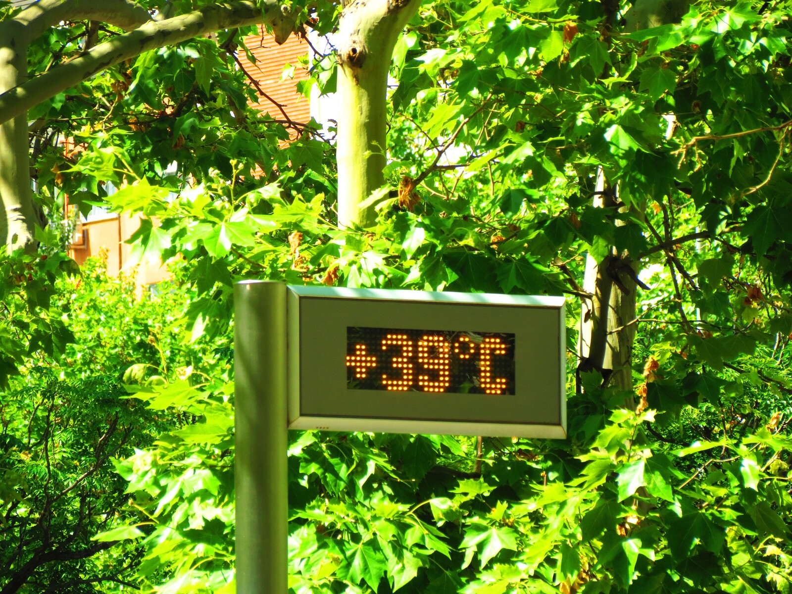 Riesgo térmico: por qué aumentan las sanciones a las empresas durante las olas de calor