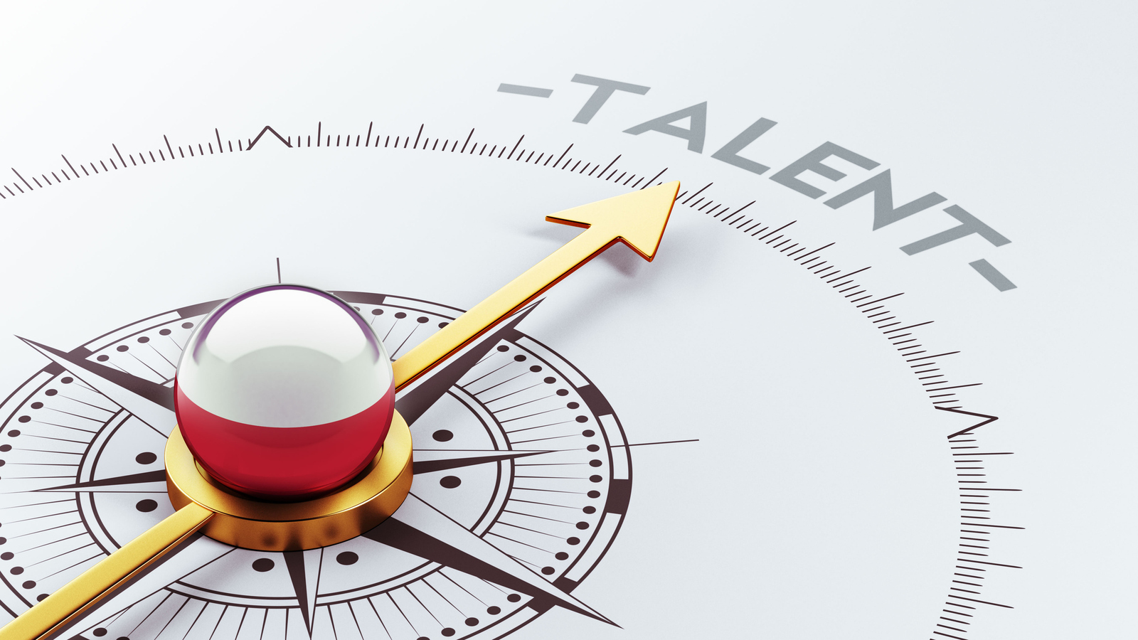 Por qué el talento internacional empieza a mirar a las scaleups españolas