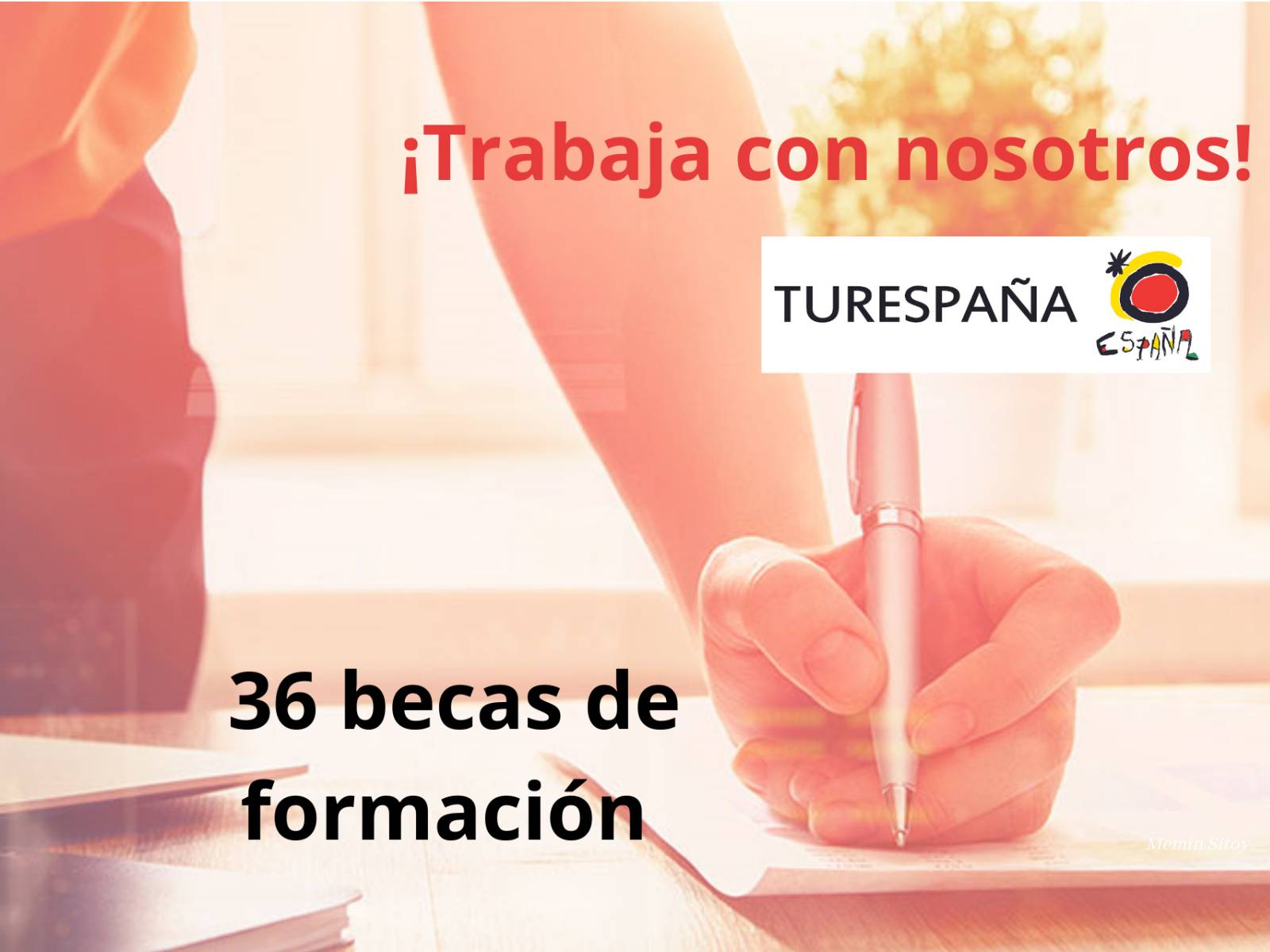 Turespana Becas formacion 2026