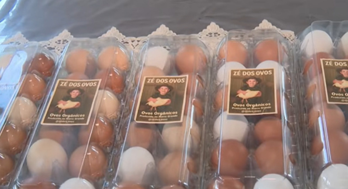 Imagen de los huevos envasados de Zé dos Ovos.