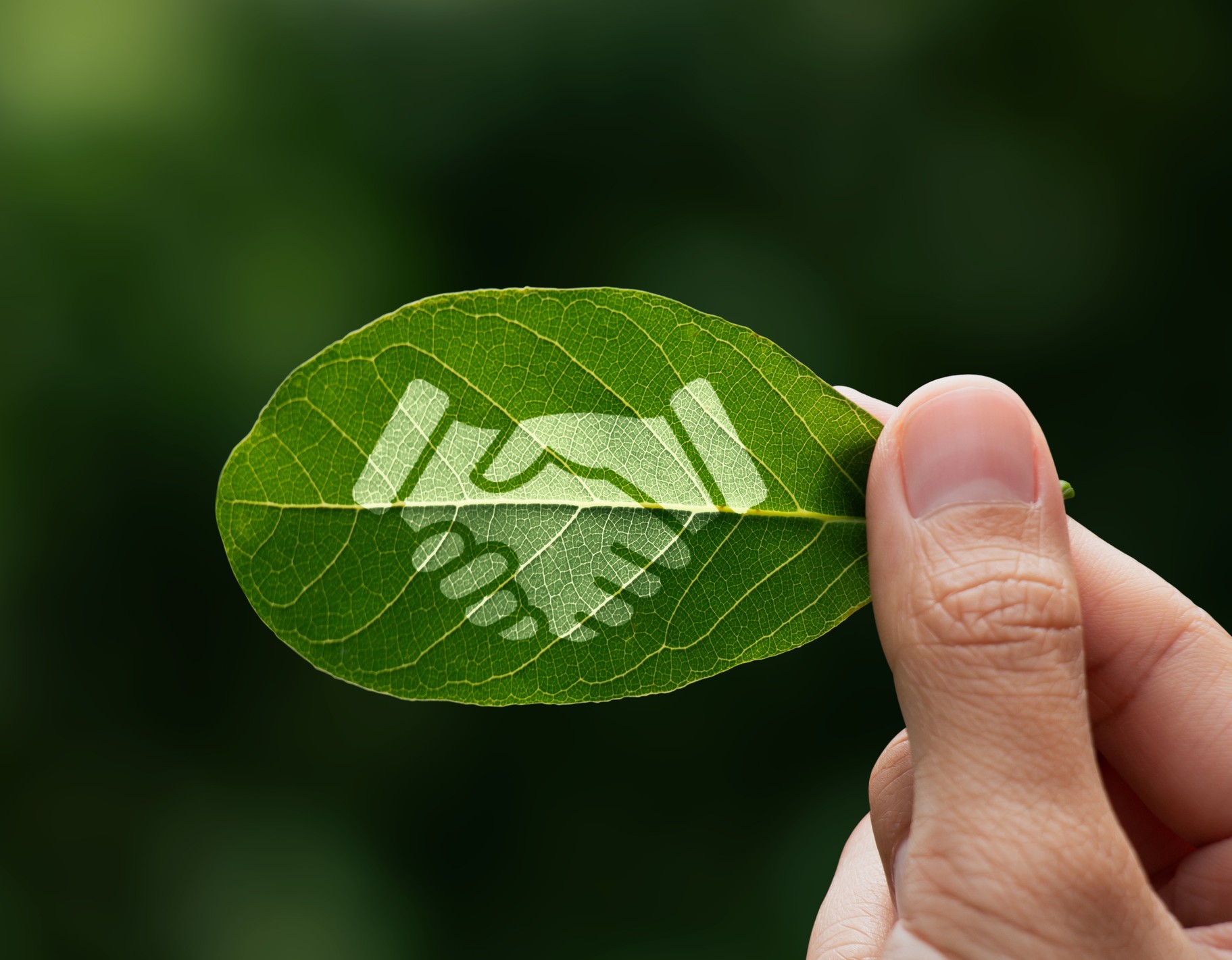 La mano del humano sostiene una hoja verde pintada con el icono del apretón de manos, como símbolo de gobernanza ESG