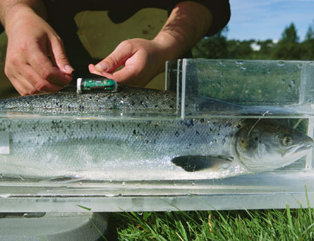 Aprovecha la nueva Ley de Biodiversidad