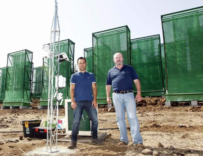 El sabor de las nubes