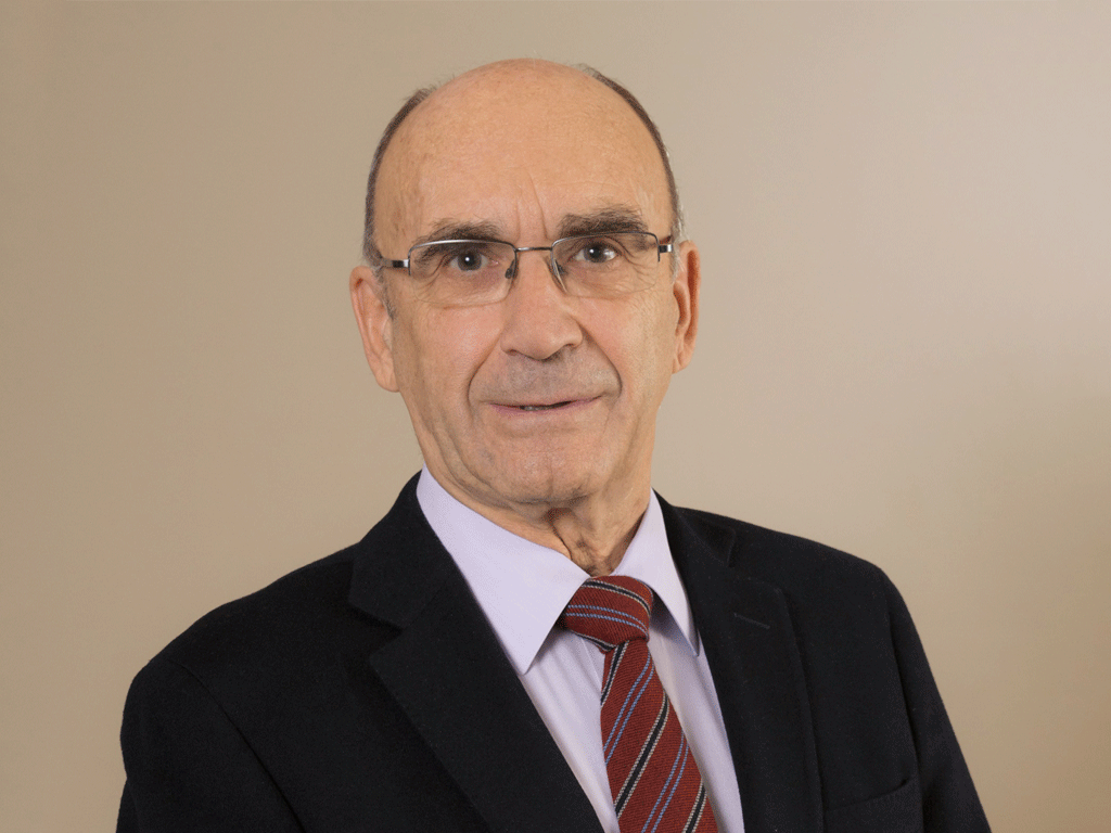 Suministro Inmediato de Información – SII