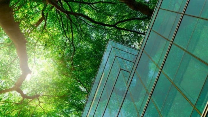 ¿Qué es la responsabilidad ambiental de las empresas?